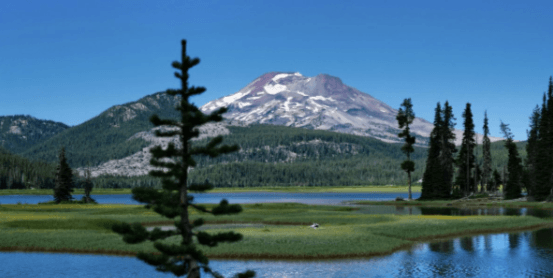 How a Bend Court Reporter’s Transcript Becomes Case Strategy, With NAEGELI Deposition & Trial